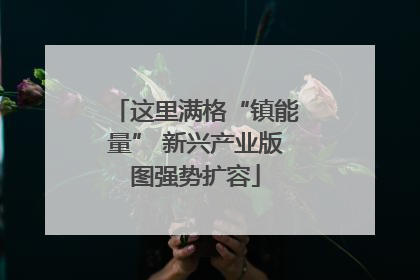 这里满格“镇能量” 新兴产业版图强势扩容