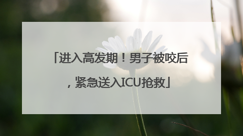 进入高发期！男子被咬后，紧急送入ICU抢救