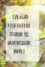 连云港：月牙岛月见草盛放 绘就初夏浪漫画卷
