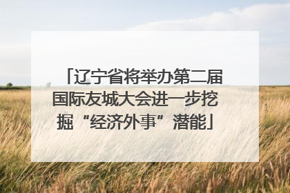 辽宁省将举办第二届国际友城大会进一步挖掘“经济外事”潜能