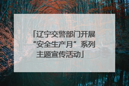辽宁交警部门开展“安全生产月”系列主题宣传活动