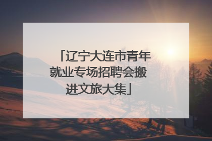 辽宁大连市青年就业专场招聘会搬进文旅大集