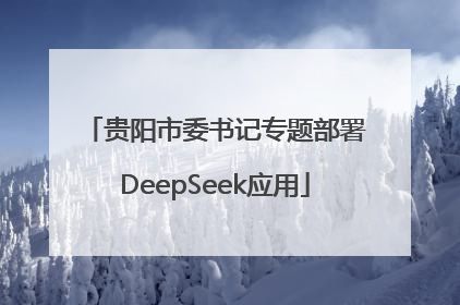 贵阳市委书记专题部署DeepSeek应用