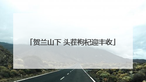 贺兰山下 头茬枸杞迎丰收