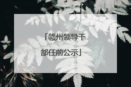 赣州领导干部任前公示