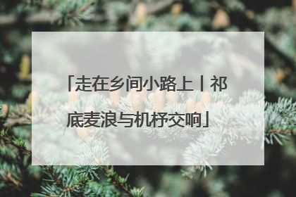 走在乡间小路上丨祁底麦浪与机杼交响