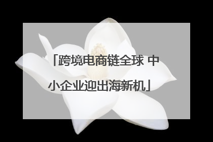 跨境电商链全球 中小企业迎出海新机