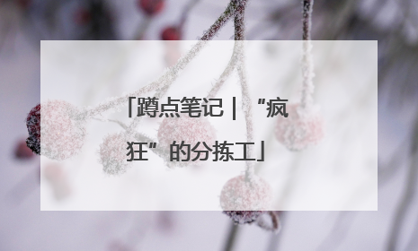 蹲点笔记｜“疯狂”的分拣工