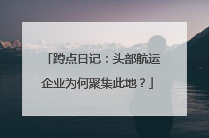 蹲点日记：头部航运企业为何聚集此地？