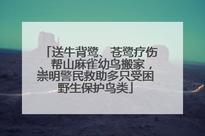 送牛背鹭、苍鹭疗伤、帮山麻雀幼鸟搬家，崇明警民救助多只受困野生保护鸟类