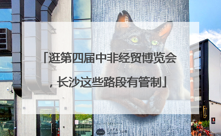 逛第四届中非经贸博览会，长沙这些路段有管制