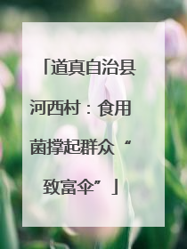 道真自治县河西村：食用菌撑起群众“致富伞”