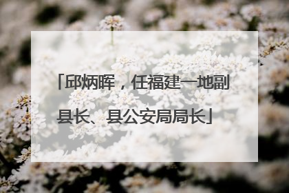 邱炳晖，任福建一地副县长、县公安局局长