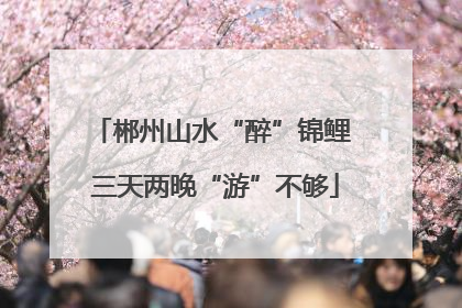 郴州山水“醉”锦鲤 三天两晚“游”不够