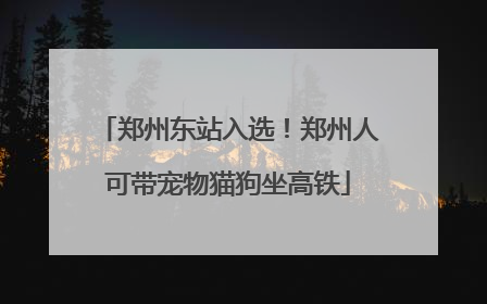 郑州东站入选！郑州人可带宠物猫狗坐高铁
