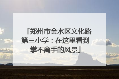 郑州市金水区文化路第三小学：在这里看到拳不离手的风景
