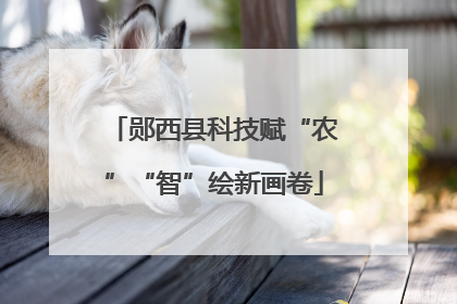 郧西县科技赋“农”“智”绘新画卷