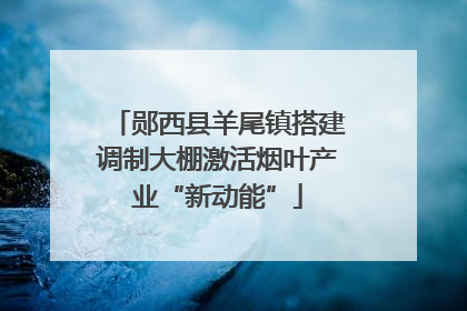 郧西县羊尾镇搭建调制大棚激活烟叶产业“新动能”