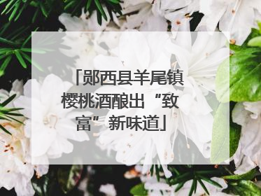 郧西县羊尾镇樱桃酒酿出“致富”新味道