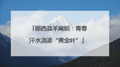 郧西县羊尾镇：青春汗水浇灌“黄金叶”