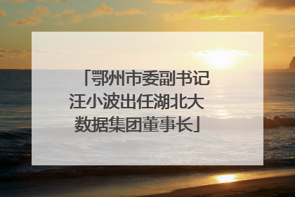 鄂州市委副书记汪小波出任湖北大数据集团董事长