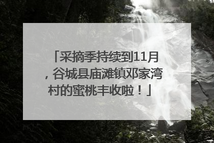 采摘季持续到11月，谷城县庙滩镇邓家湾村的蜜桃丰收啦！