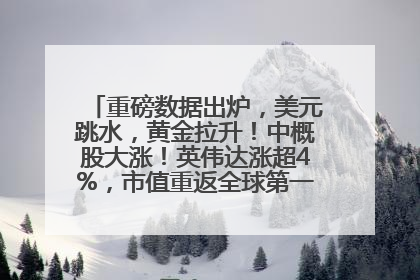 重磅数据出炉，美元跳水，黄金拉升！中概股大涨！英伟达涨超4%，市值重返全球第一！黄仁勋计划出售至多600万股股票