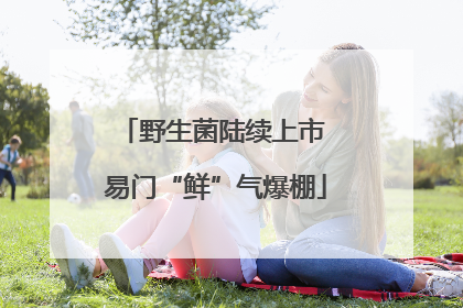 野生菌陆续上市 易门“鲜”气爆棚