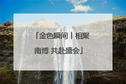 金色瞬间丨相聚南博 共赴盛会