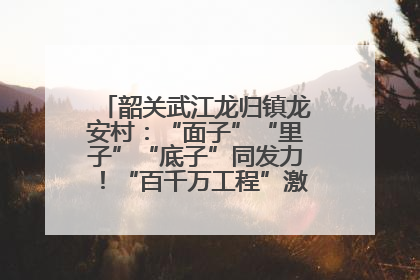 韶关武江龙归镇龙安村：“面子”“里子”“底子”同发力！“百千万工程”激活乡村新动能