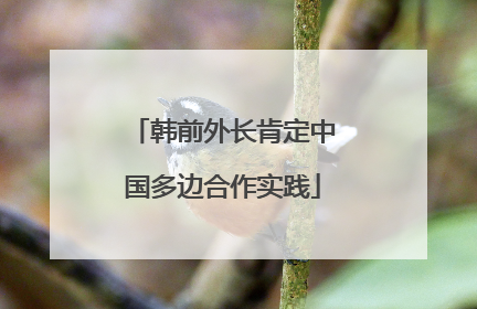 韩前外长肯定中国多边合作实践
