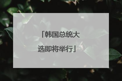 韩国总统大选即将举行