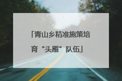 青山乡精准施策培育“头雁”队伍
