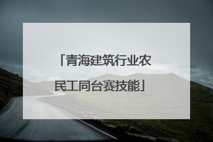 青海建筑行业农民工同台赛技能