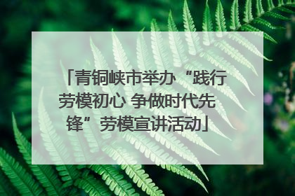 青铜峡市举办“践行劳模初心 争做时代先锋”劳模宣讲活动