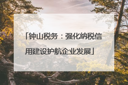 钟山税务：强化纳税信用建设护航企业发展