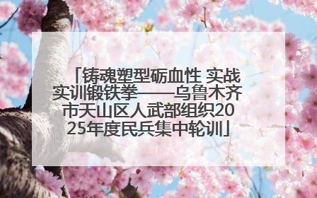 铸魂塑型砺血性 实战实训锻铁拳——乌鲁木齐市天山区人武部组织2025年度民兵集中轮训