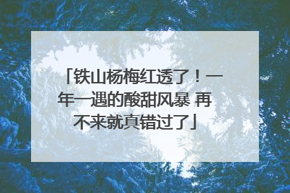 铁山杨梅红透了！一年一遇的酸甜风暴 再不来就真错过了