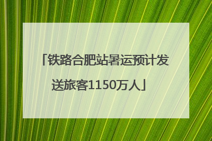 铁路合肥站暑运预计发送旅客1150万人