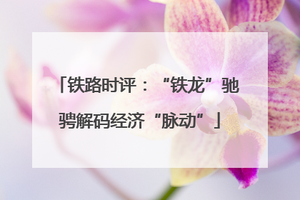 铁路时评：“铁龙”驰骋解码经济“脉动”