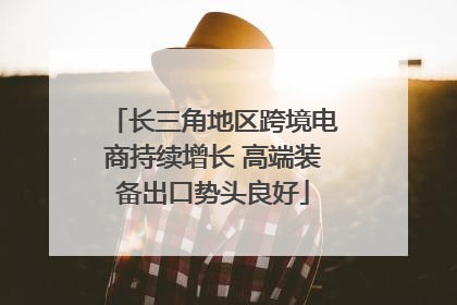 长三角地区跨境电商持续增长 高端装备出口势头良好