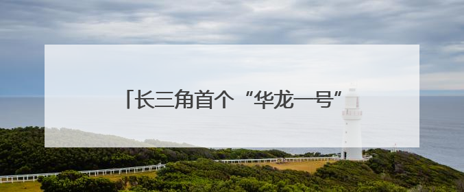 长三角首个“华龙一号”项目1号机组完成热试