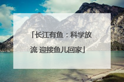 长江有鱼：科学放流 迎接鱼儿回家