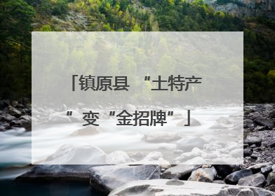 镇原县 “土特产”变“金招牌”