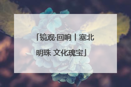 镜观·回响丨塞北明珠 文化瑰宝
