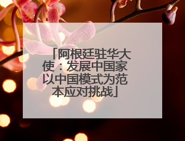 阿根廷驻华大使：发展中国家以中国模式为范本应对挑战