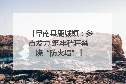 阜南县鹿城镇：多点发力 筑牢秸秆禁烧“防火墙”