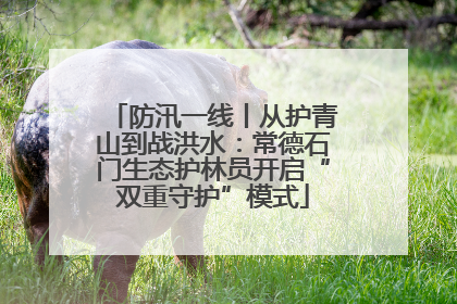 防汛一线丨从护青山到战洪水：常德石门生态护林员开启“双重守护”模式