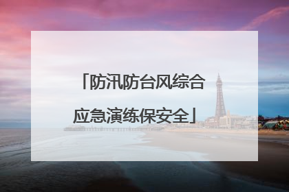 防汛防台风综合应急演练保安全