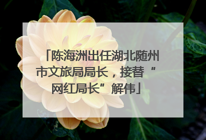 陈海洲出任湖北随州市文旅局局长，接替“网红局长”解伟
